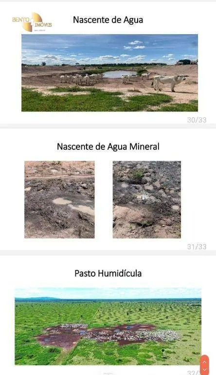 Fazenda à venda de 10.593 ha em Pontes e Lacerda, MT, Brasil