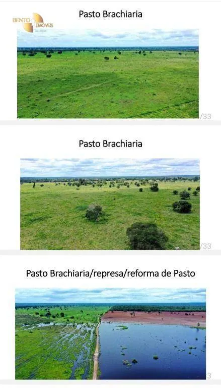 Fazenda à venda de 10.593 ha em Pontes e Lacerda, MT, Brasil