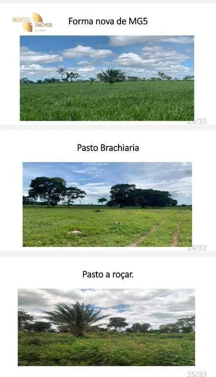 Fazenda à venda de 10.593 ha em Pontes e Lacerda, MT, Brasil