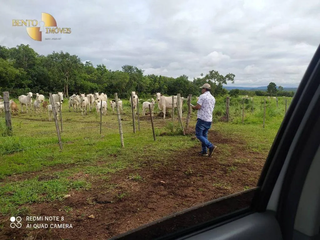 Fazenda à venda de 438 ha em Acorizal, MT, Brasil