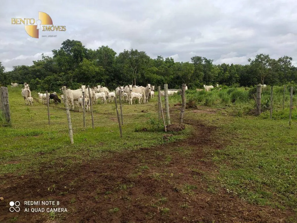 Fazenda à venda de 438 ha em Acorizal, MT, Brasil
