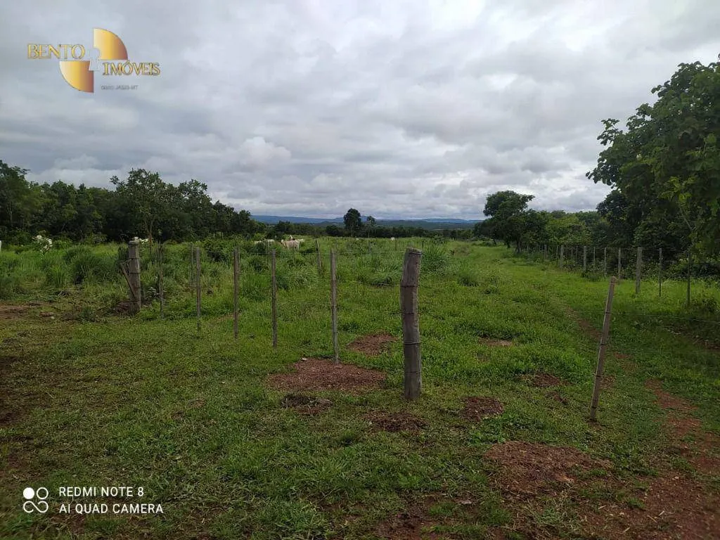Fazenda à venda de 438 ha em Acorizal, MT, Brasil