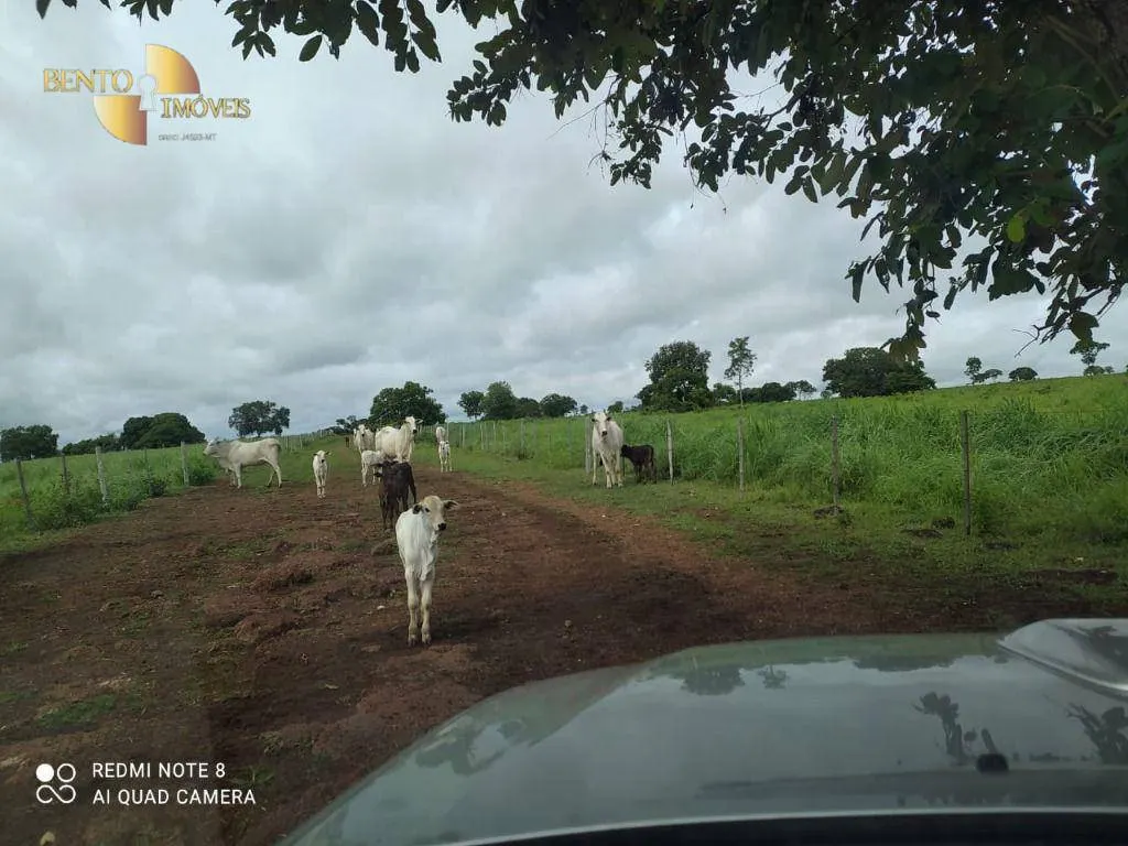 Fazenda à venda de 438 ha em Acorizal, MT, Brasil