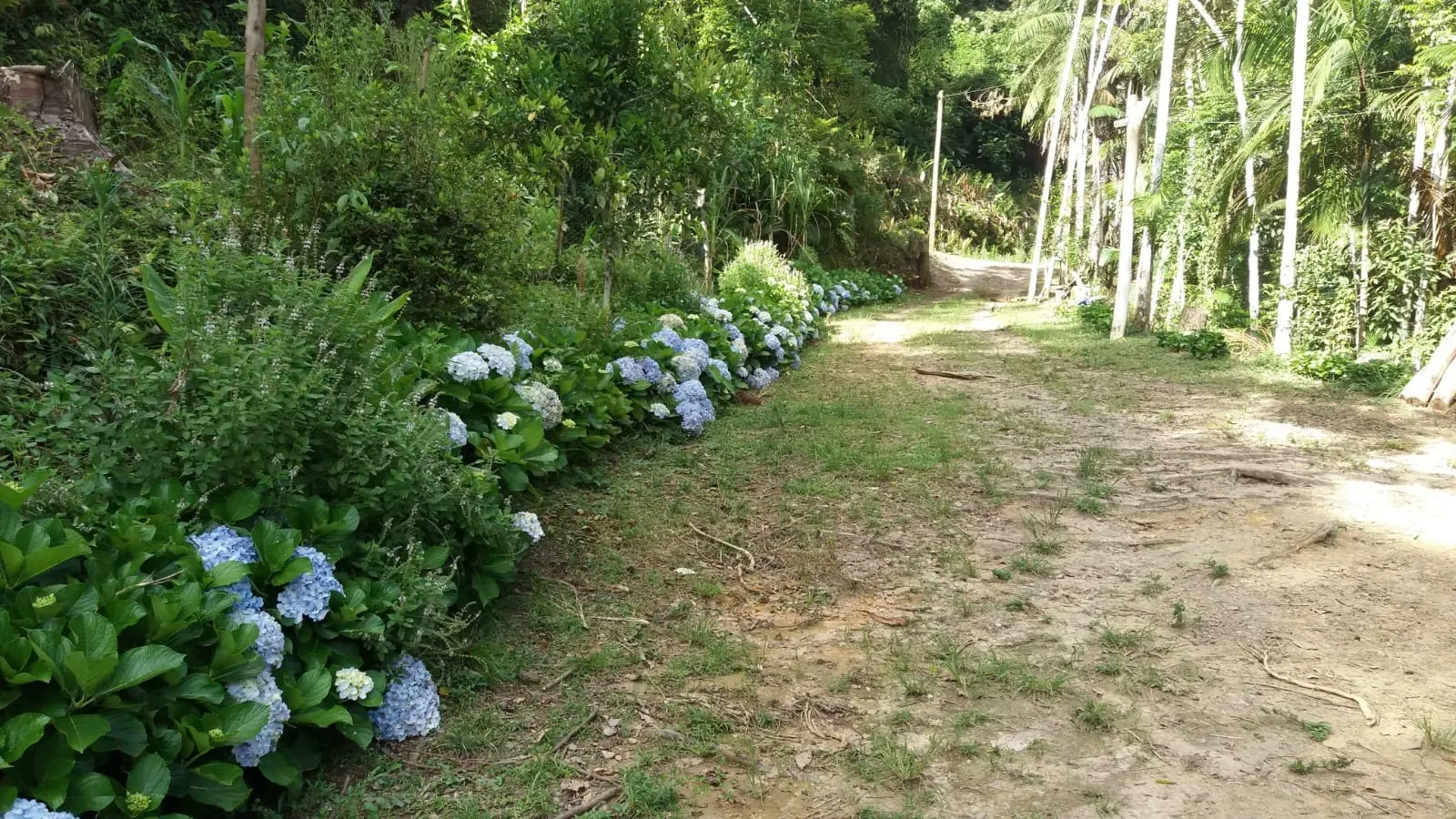 Chácara à venda de 8.000 m² em Paraibuna, SP, Brasil