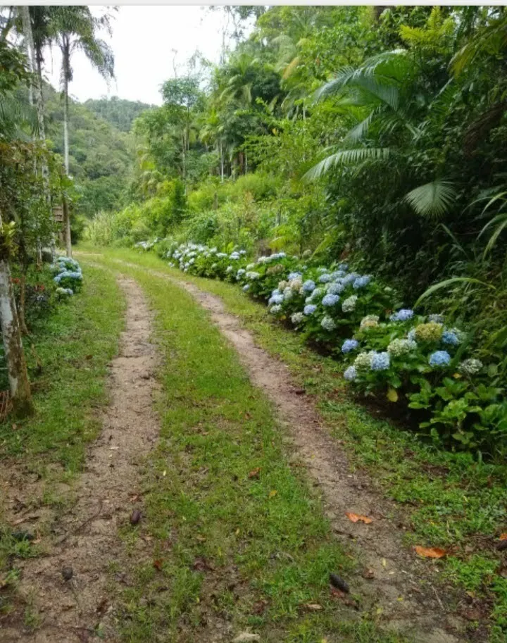 Chácara à venda de 8.000 m² em Paraibuna, SP, Brasil
