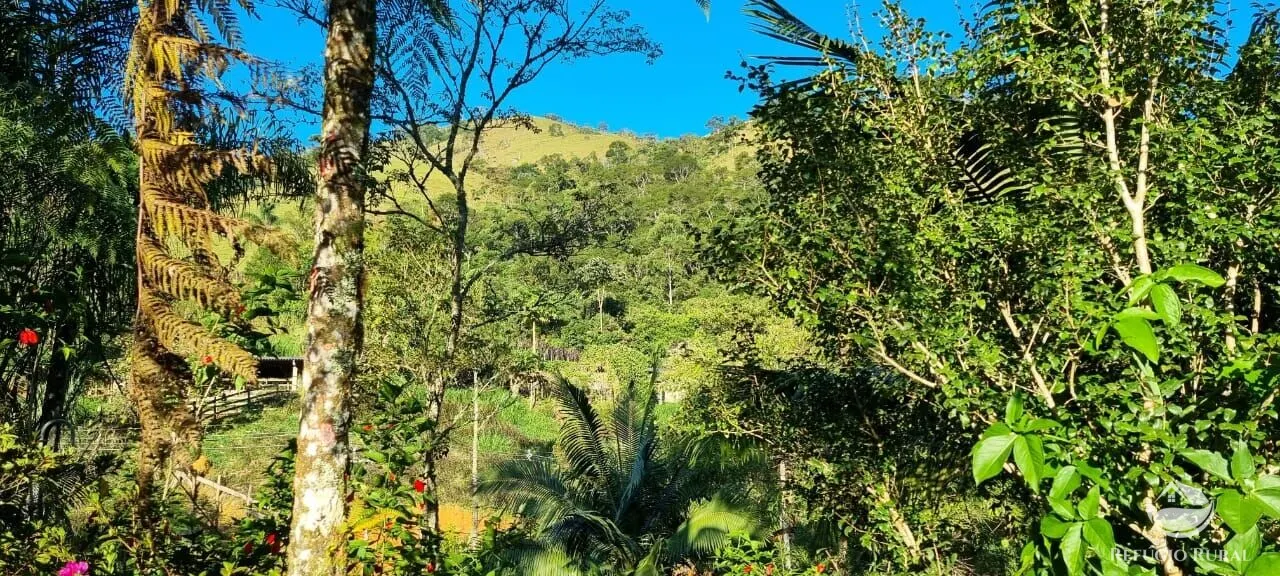 Small farm for sale of 52 acres in São José dos Campos, SP, Brazil