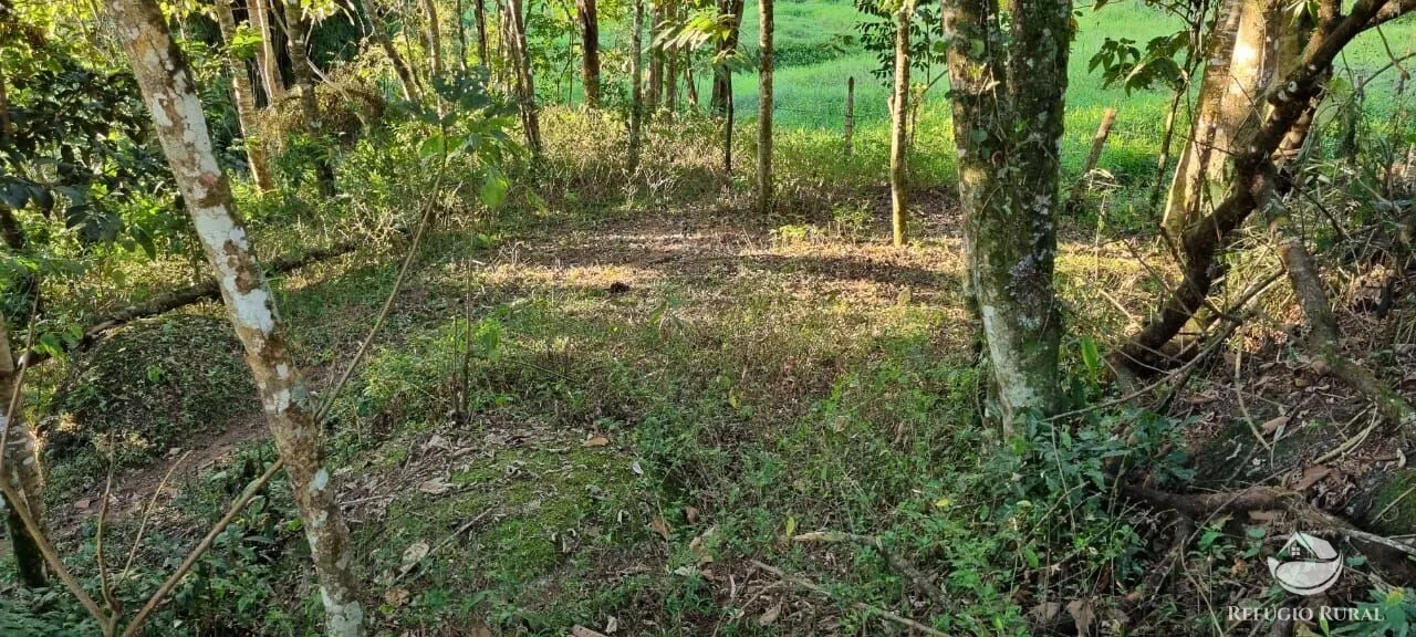 Small farm for sale of 52 acres in São José dos Campos, SP, Brazil