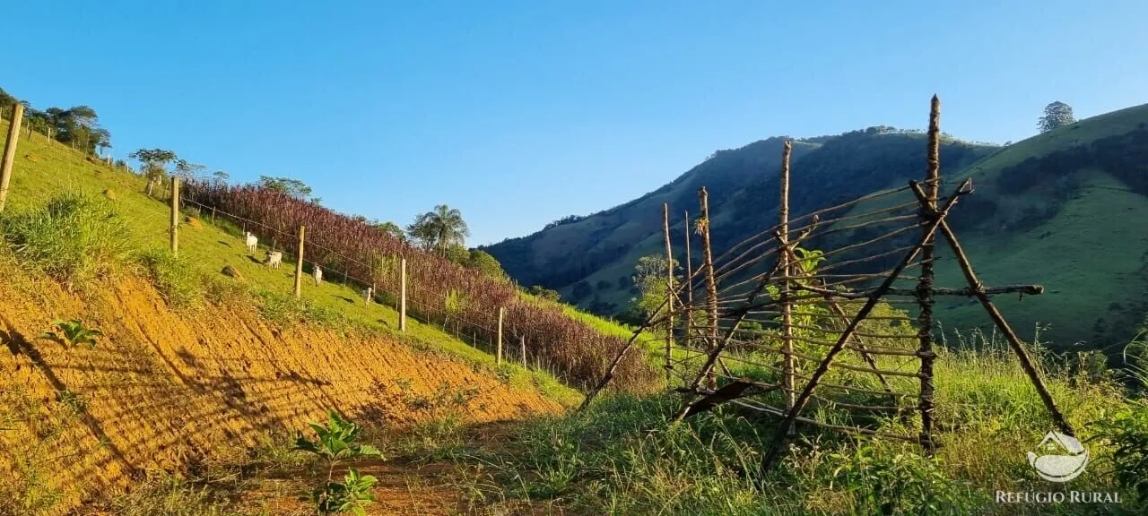 Small farm for sale of 52 acres in São José dos Campos, SP, Brazil