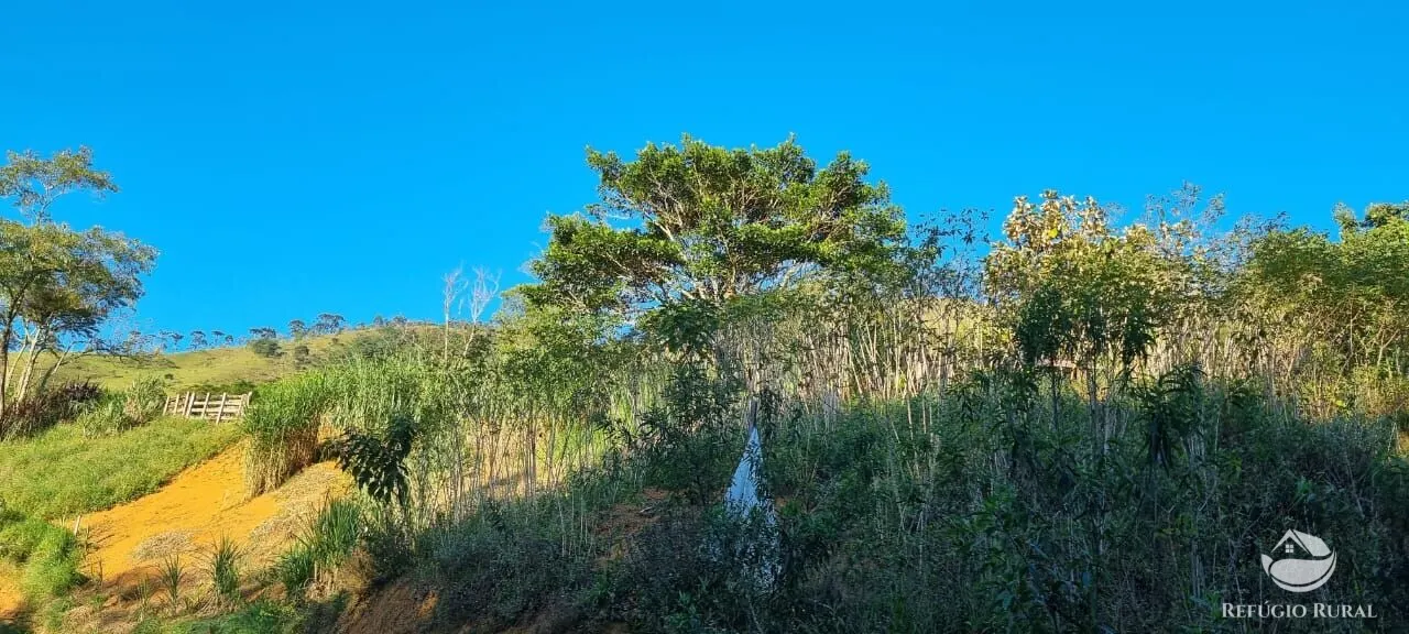 Small farm for sale of 52 acres in São José dos Campos, SP, Brazil