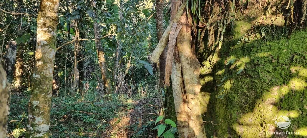 Small farm for sale of 52 acres in São José dos Campos, SP, Brazil