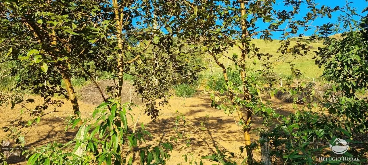 Small farm for sale of 52 acres in São José dos Campos, SP, Brazil