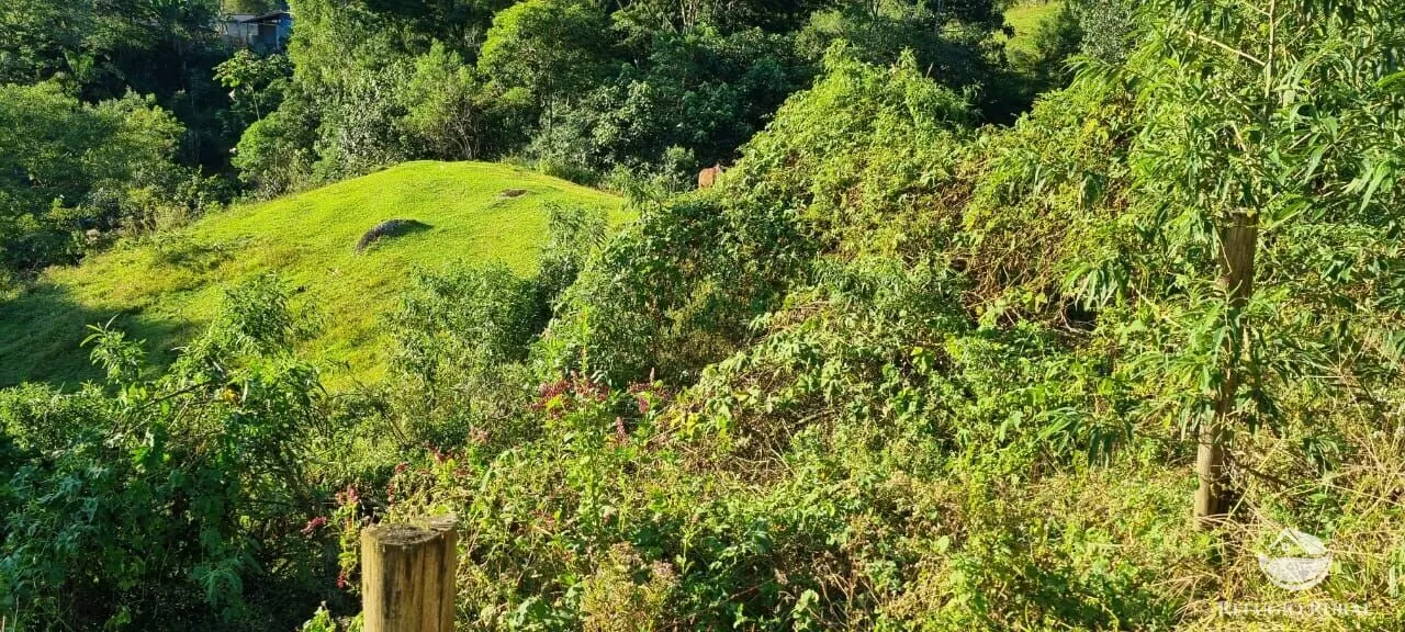 Small farm for sale of 52 acres in São José dos Campos, SP, Brazil