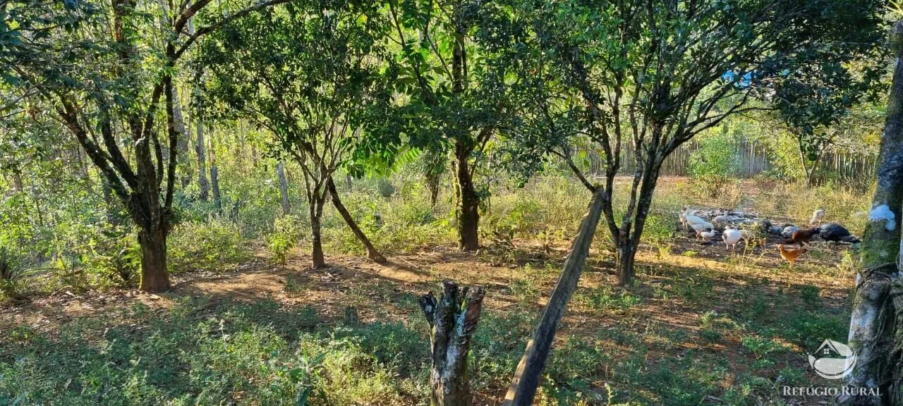 Small farm for sale of 52 acres in São José dos Campos, SP, Brazil