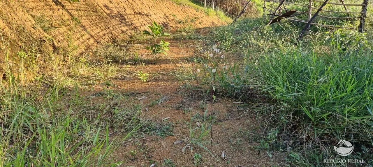 Small farm for sale of 52 acres in São José dos Campos, SP, Brazil