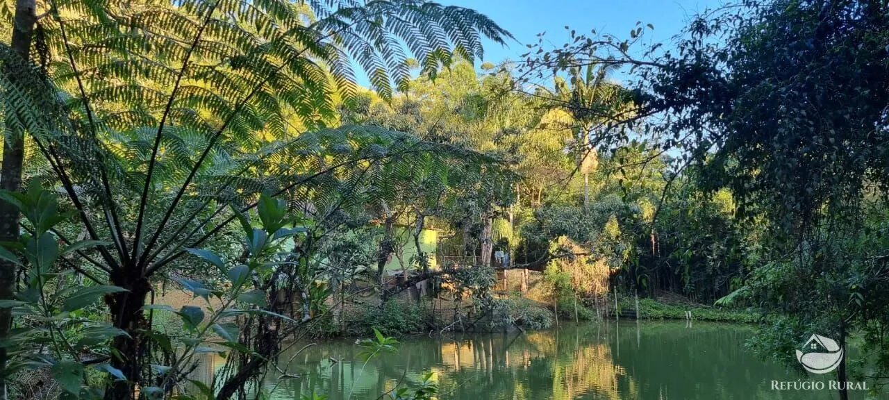 Small farm for sale of 52 acres in São José dos Campos, SP, Brazil
