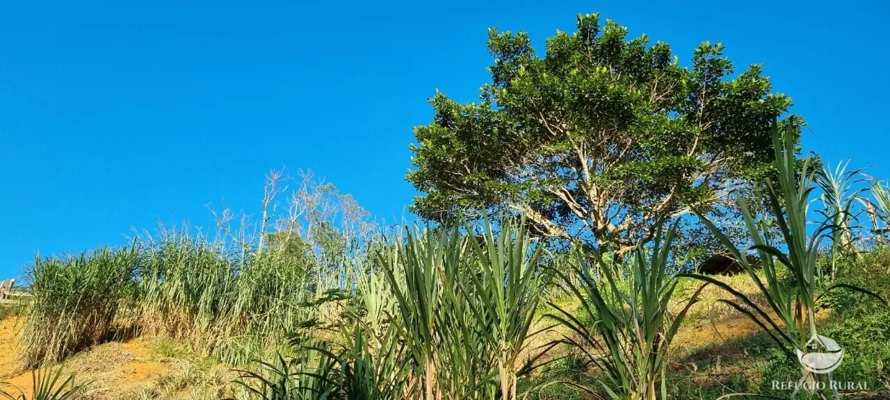 Small farm for sale of 52 acres in São José dos Campos, SP, Brazil