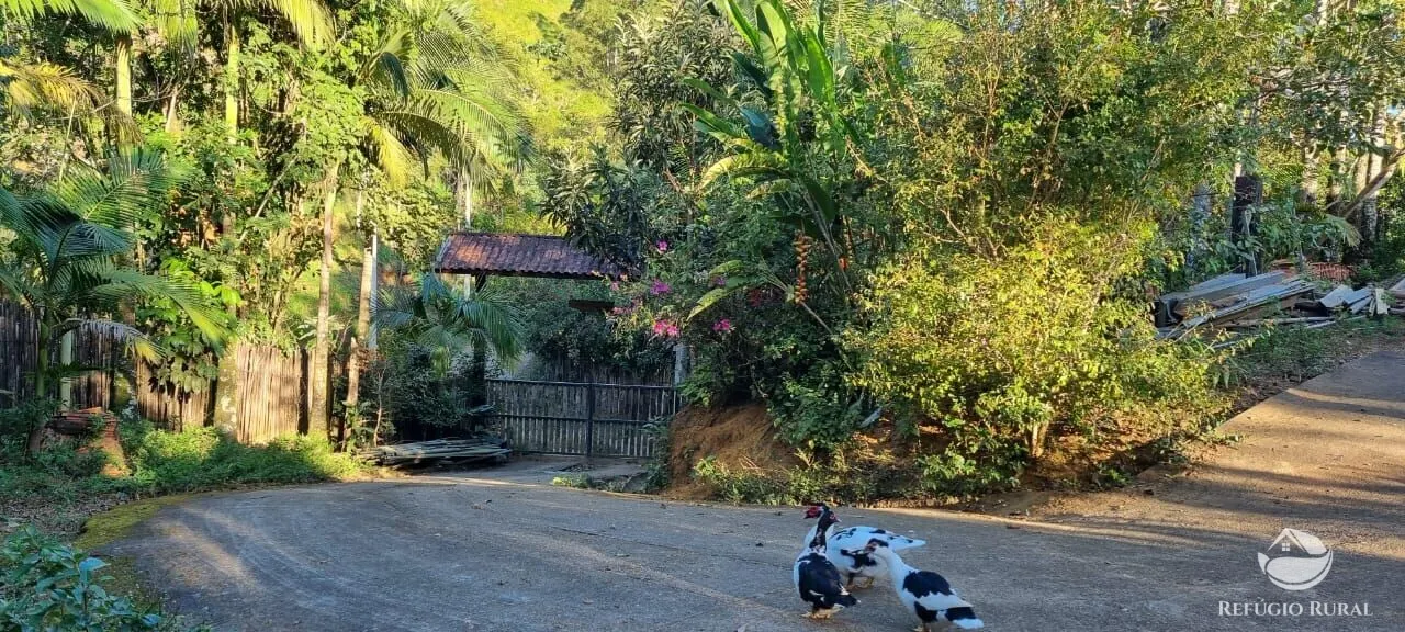 Small farm for sale of 52 acres in São José dos Campos, SP, Brazil