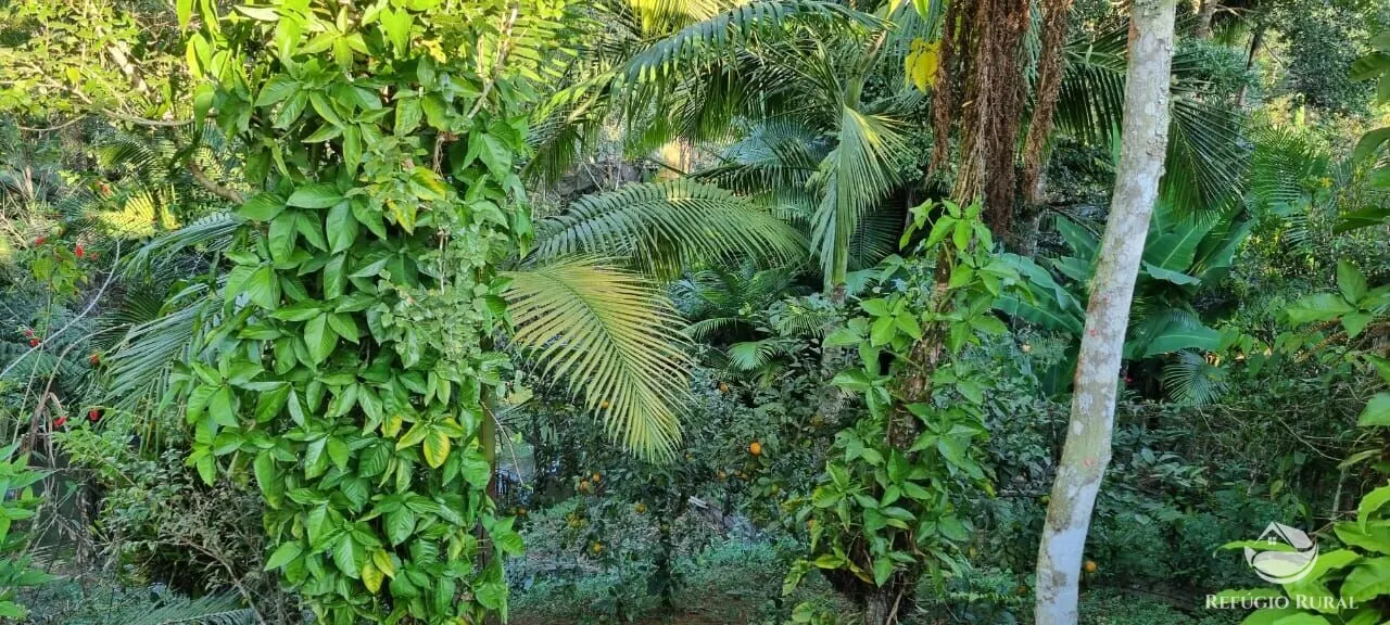 Small farm for sale of 52 acres in São José dos Campos, SP, Brazil