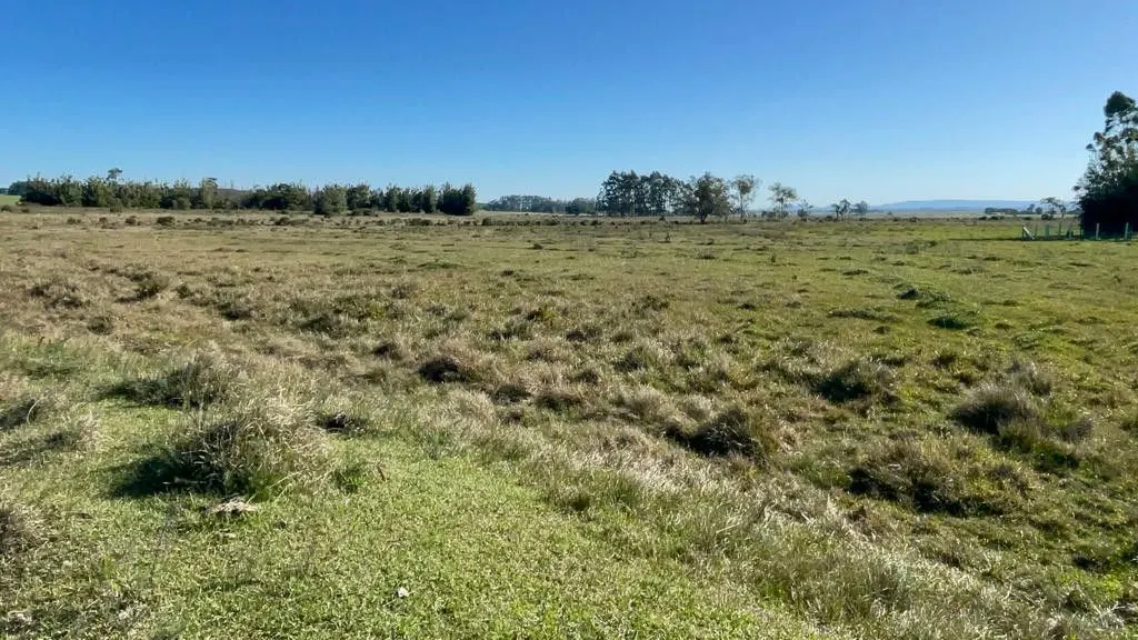 Small farm for sale of 7 acres in Santo Antônio da Patrulha, RS, Brazil