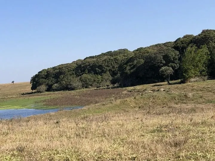 Small farm for sale of 7 acres in Santo Antônio da Patrulha, RS, Brazil