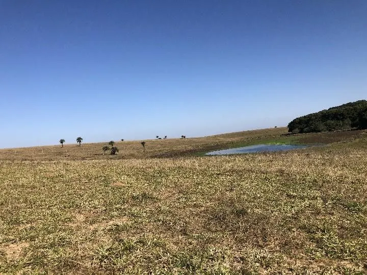 Small farm for sale of 7 acres in Santo Antônio da Patrulha, RS, Brazil