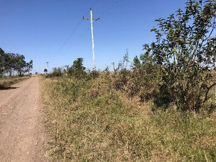 Small farm for sale of 7 acres in Santo Antônio da Patrulha, RS, Brazil
