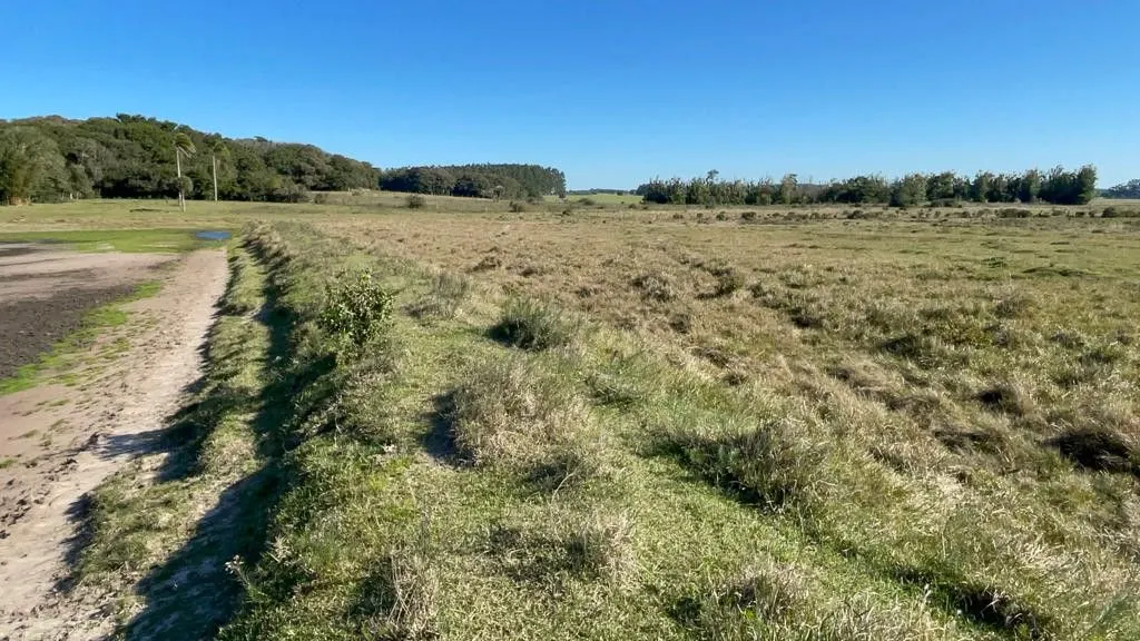 Small farm for sale of 7 acres in Santo Antônio da Patrulha, RS, Brazil