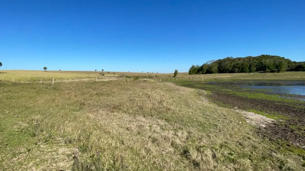 Small farm for sale of 7 acres in Santo Antônio da Patrulha, RS, Brazil