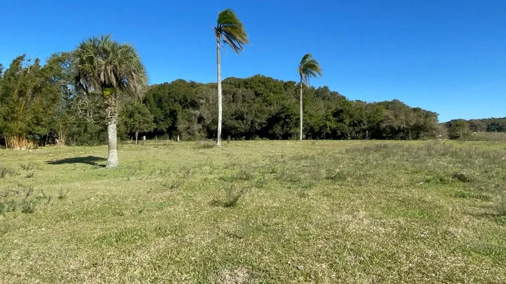Small farm for sale of 7 acres in Santo Antônio da Patrulha, RS, Brazil