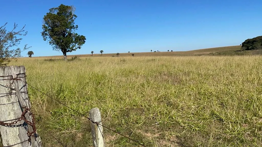 Small farm for sale of 7 acres in Santo Antônio da Patrulha, RS, Brazil