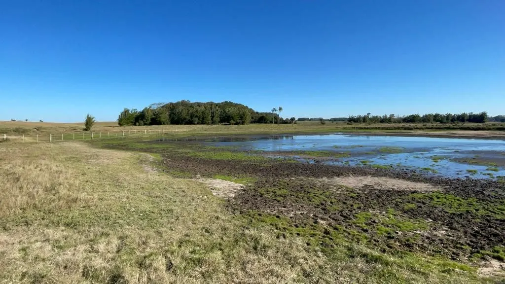 Small farm for sale of 7 acres in Santo Antônio da Patrulha, RS, Brazil