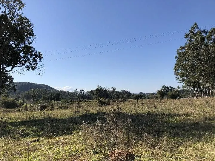 Small farm for sale of 7 acres in Santo Antônio da Patrulha, RS, Brazil