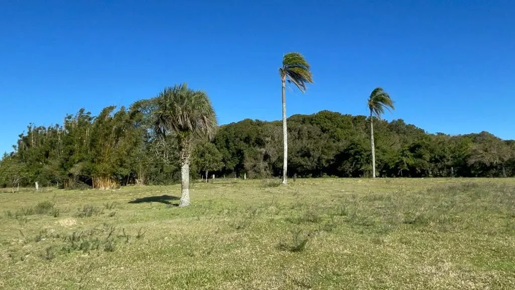 Small farm for sale of 7 acres in Santo Antônio da Patrulha, RS, Brazil
