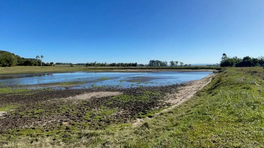 Small farm for sale of 7 acres in Santo Antônio da Patrulha, RS, Brazil