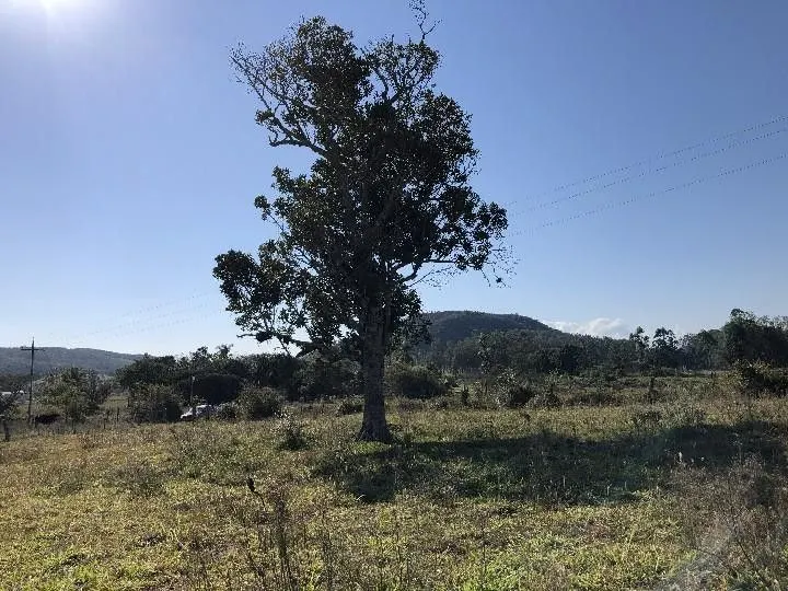 Small farm for sale of 7 acres in Santo Antônio da Patrulha, RS, Brazil