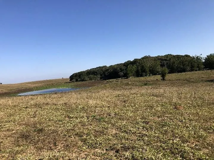 Small farm for sale of 7 acres in Santo Antônio da Patrulha, RS, Brazil
