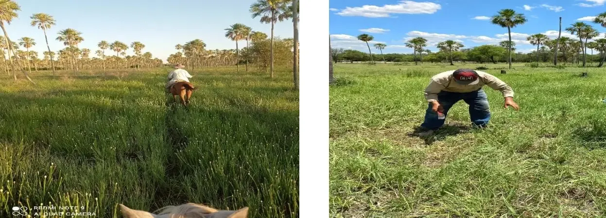 Comercial à venda de 4.000 ha em Fuerte Olimpo, Paraguai