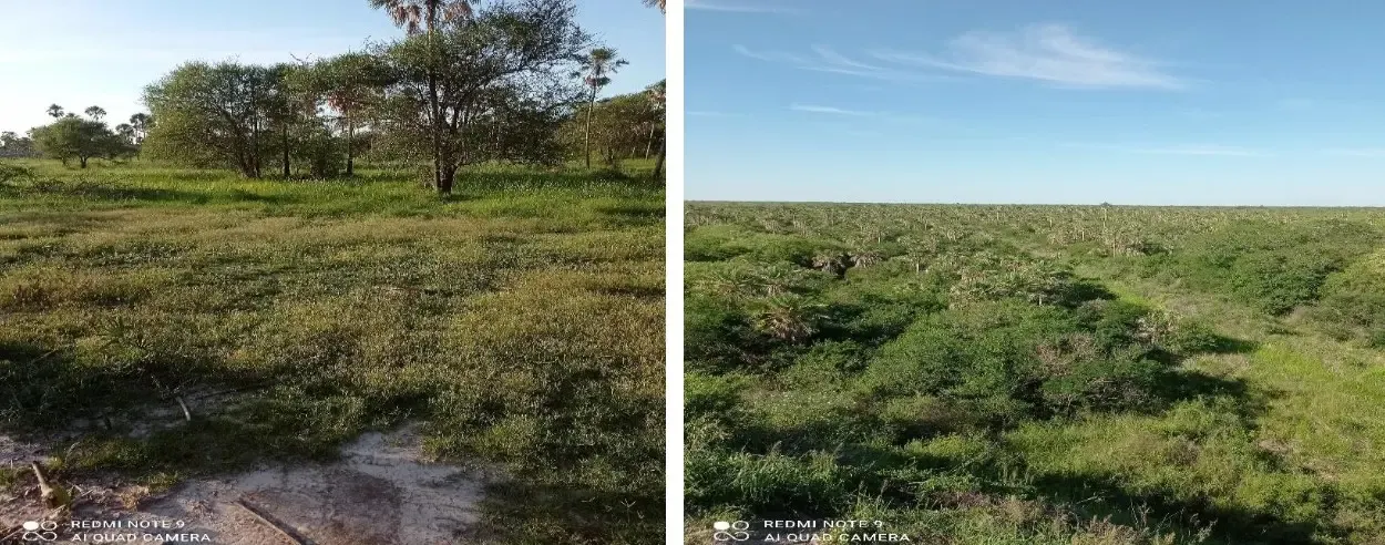 Comercial à venda de 4.000 ha em Fuerte Olimpo, Paraguai