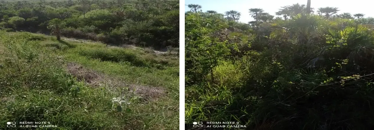 Comercial à venda de 4.000 ha em Fuerte Olimpo, Paraguai