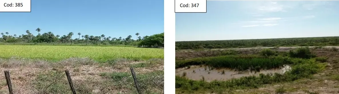 Comercial à venda de 4.000 ha em Fuerte Olimpo, Paraguai