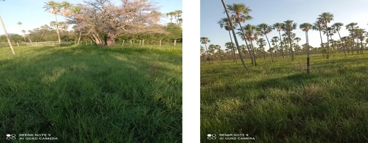 Comercial à venda de 4.000 ha em Fuerte Olimpo, Paraguai