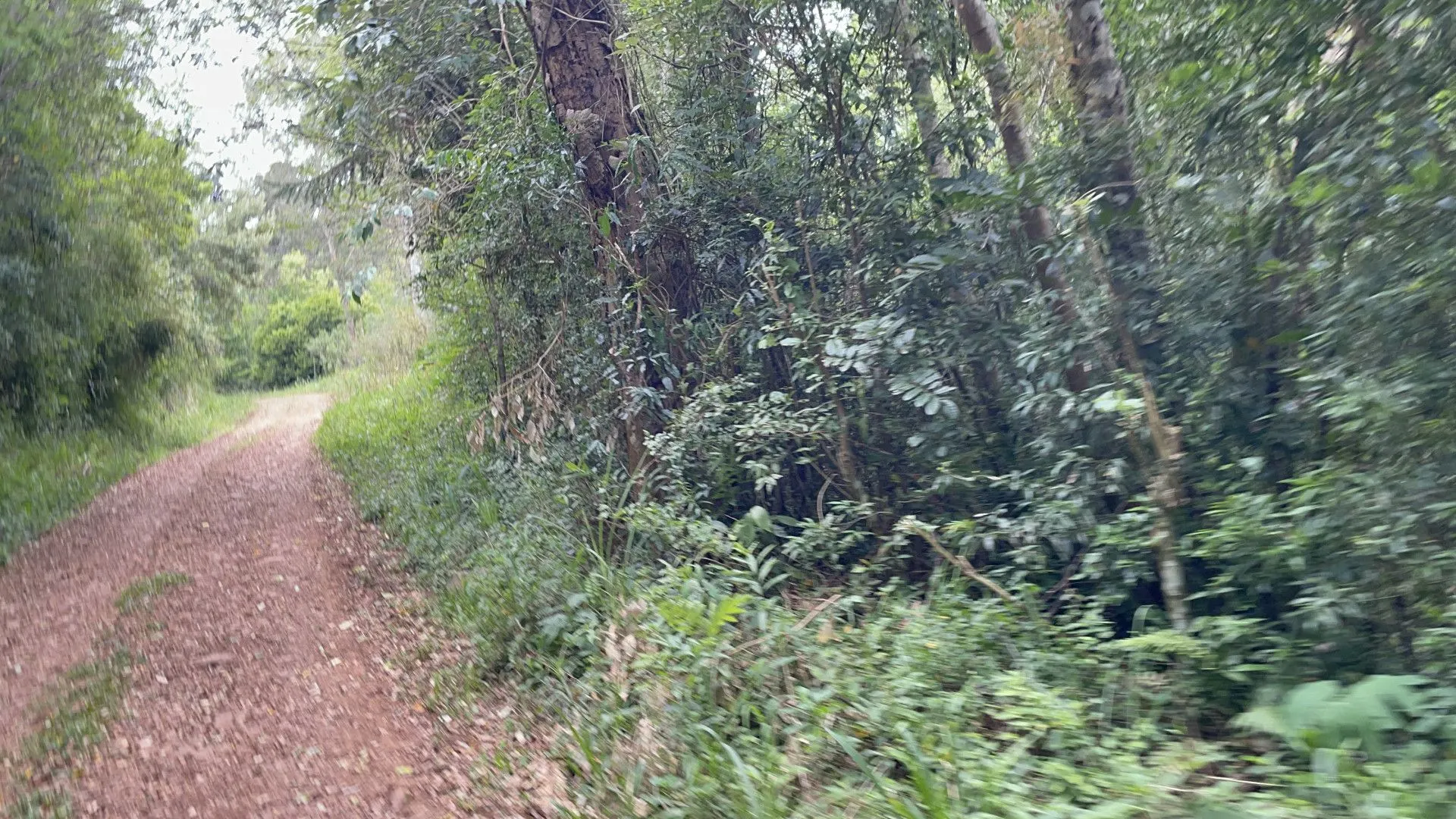 Small farm for sale of 67 acres in Rolante, RS, Brazil