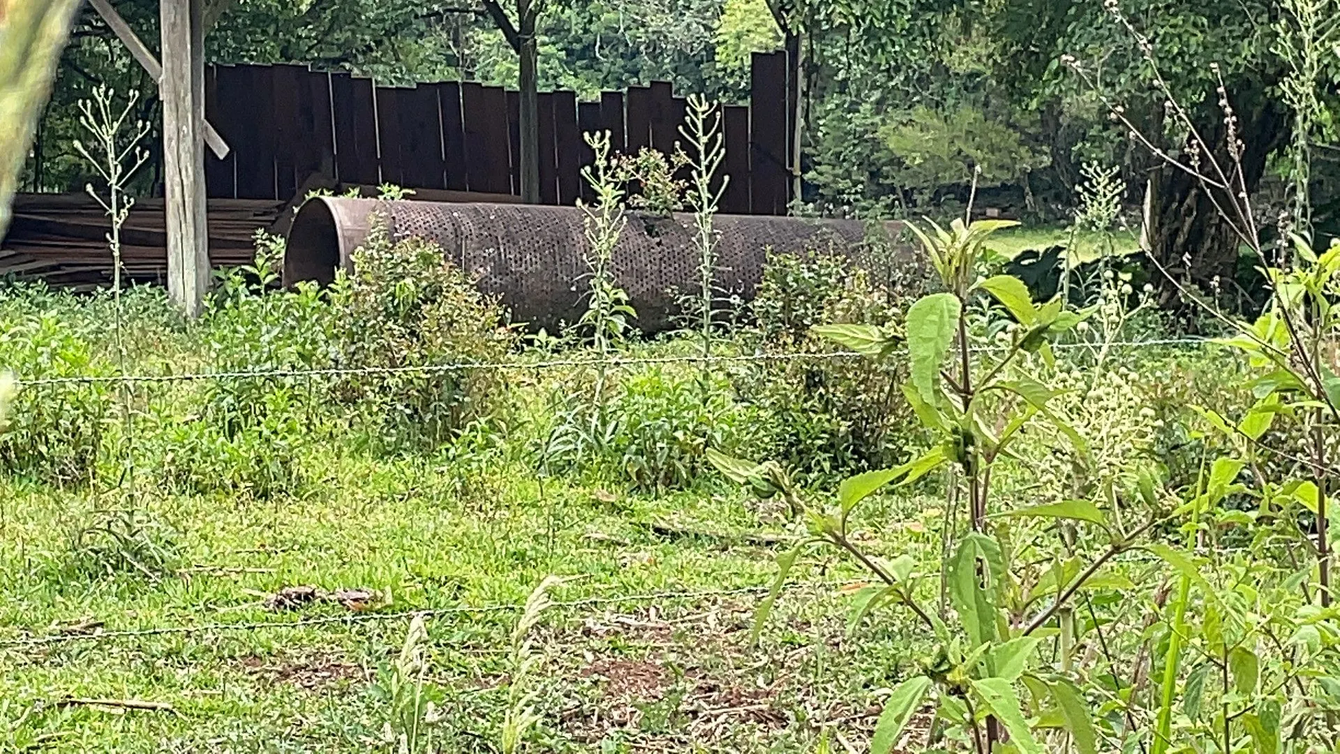 Sítio à venda de 27 ha em Rolante, RS, Brasil