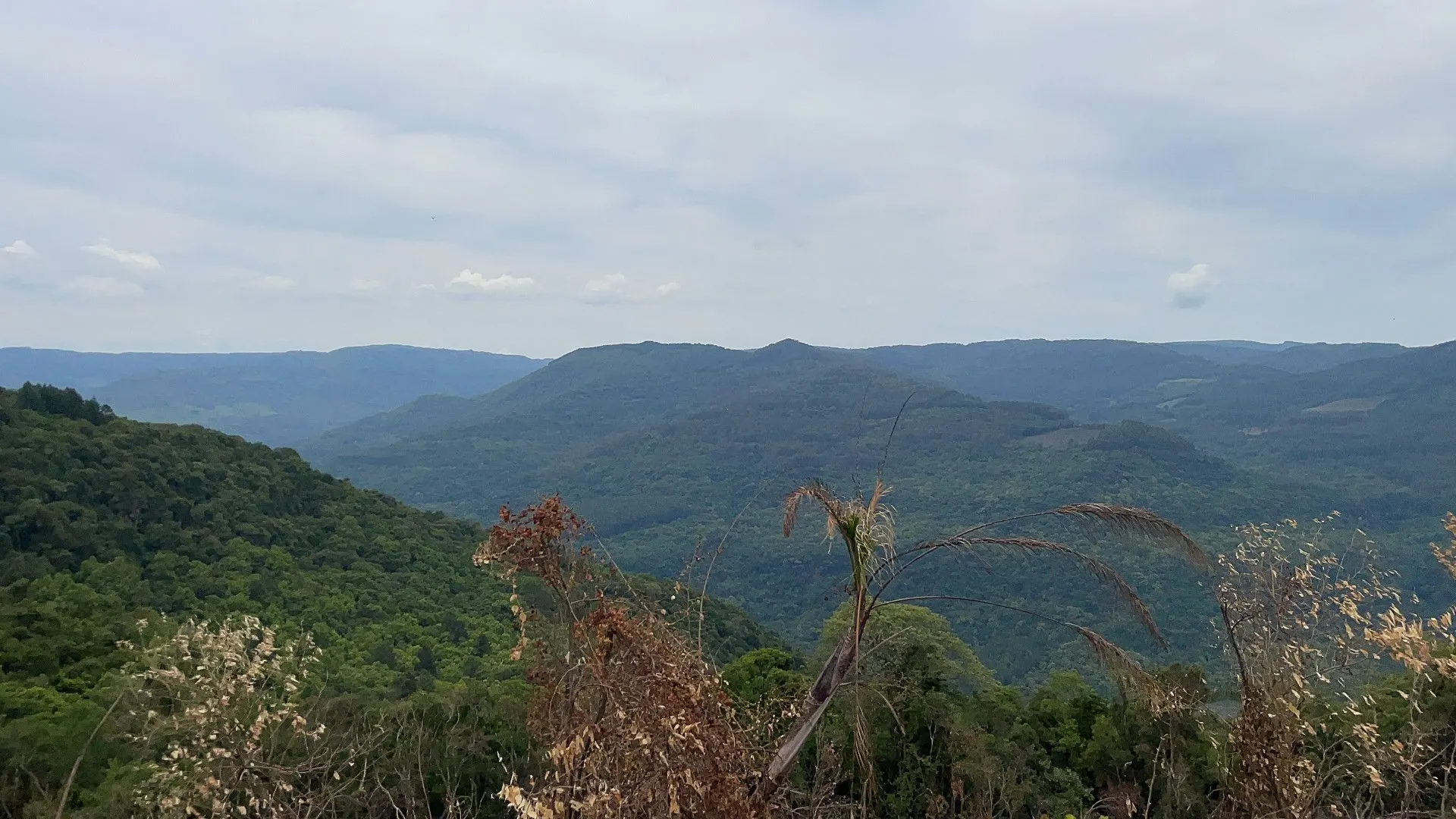 Small farm for sale of 67 acres in Rolante, RS, Brazil