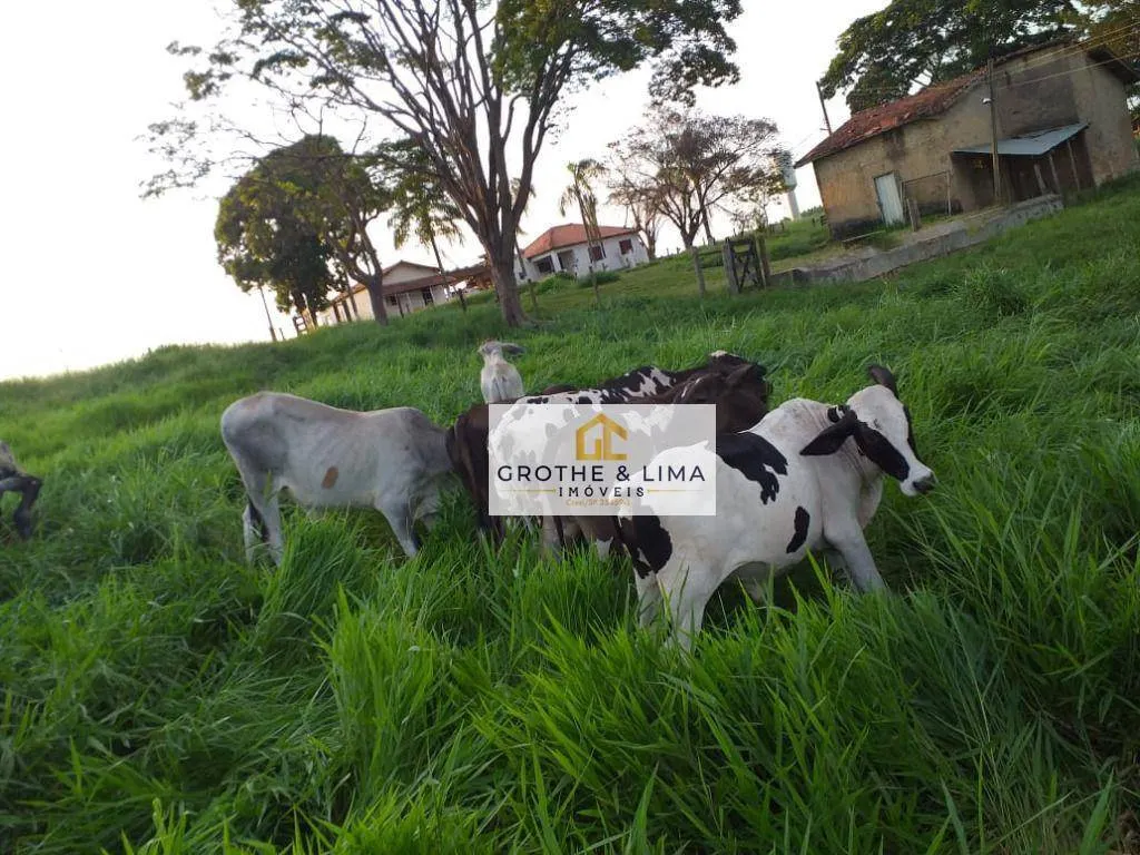 Small farm for sale of 87 acres in Piracicaba, SP, Brazil