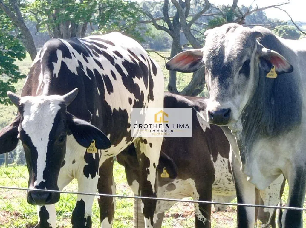 Small farm for sale of 87 acres in Piracicaba, SP, Brazil