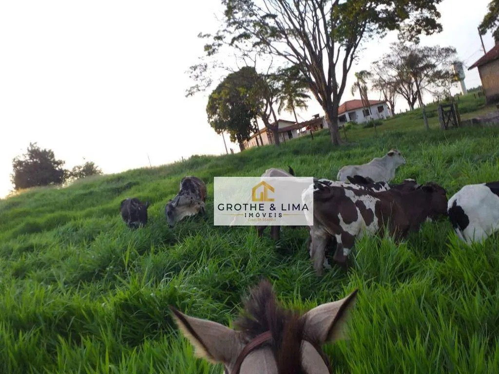 Small farm for sale of 87 acres in Piracicaba, SP, Brazil
