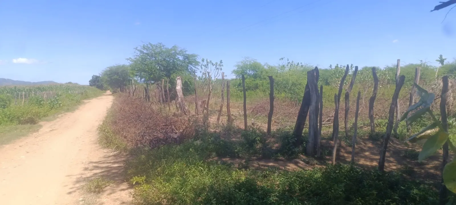 Terreno à venda de 6 ha em Mauriti, CE, Brasil
