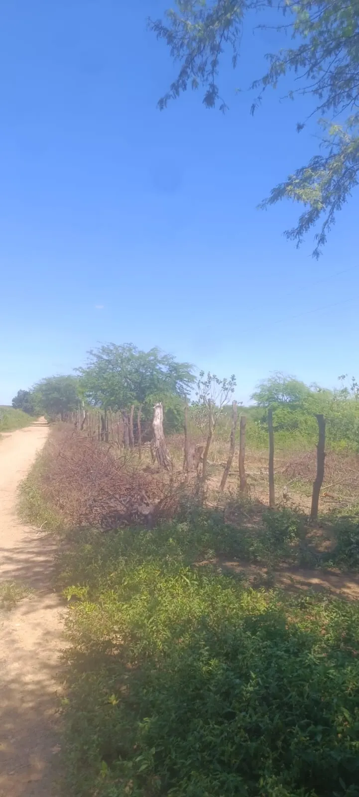 Terreno à venda de 6 ha em Mauriti, CE, Brasil