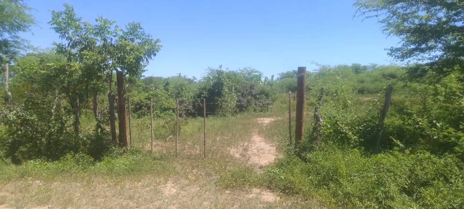 Terreno à venda de 6 ha em Mauriti, CE, Brasil